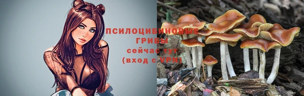 MESCALINE Алзамай