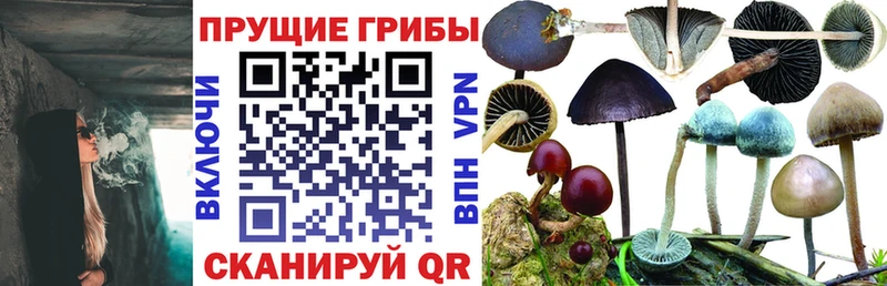 Галлюциногенные грибы MAGIC MUSHROOMS  Урюпинск 