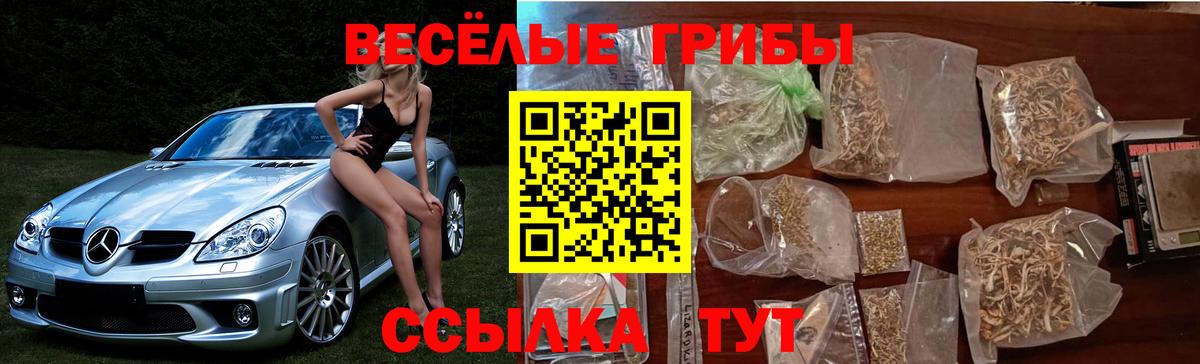 Галлюциногенные грибы Magic Shrooms  Вход с VPN  Псилоцибиновые грибы GOLDEN TEACHER  Урюпинск 